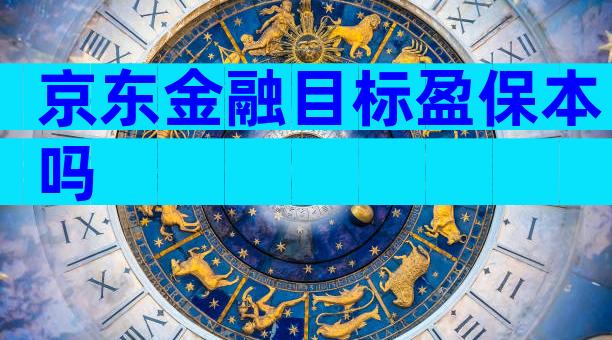 京东金融目标盈保本吗