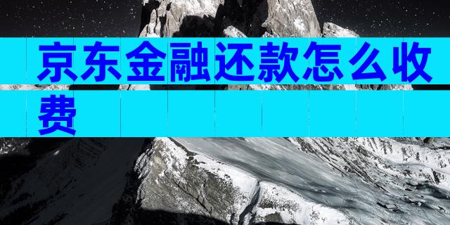 京东金融还款怎么收费
