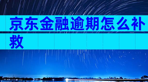 京东金融逾期怎么补救