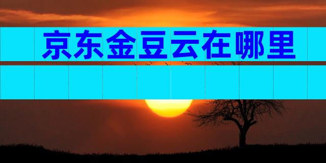 京东金豆云在哪里