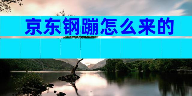 京东钢蹦怎么来的