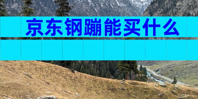 京东钢蹦能买什么