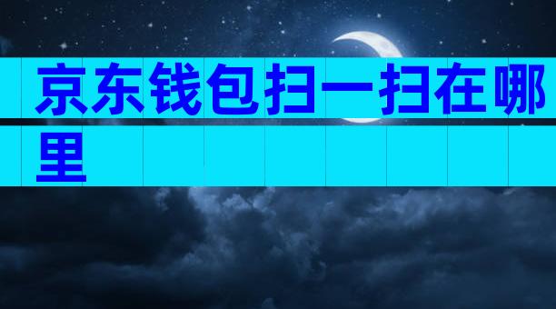 京东钱包扫一扫在哪里