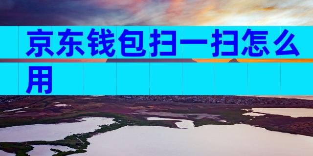 京东钱包扫一扫怎么用