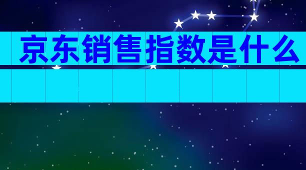京东销售指数是什么