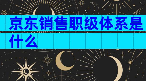 京东销售职级体系是什么
