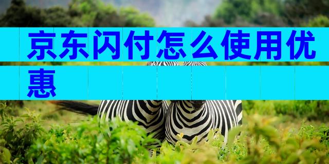 京东闪付怎么使用优惠