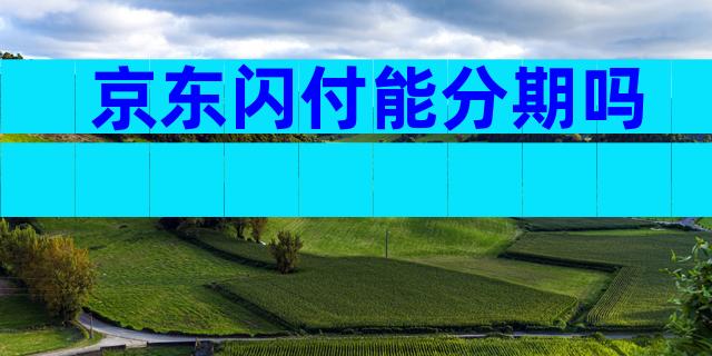 京东闪付能分期吗