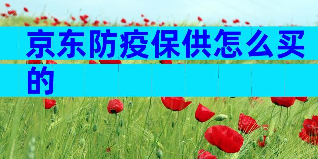 京东防疫保供怎么买的