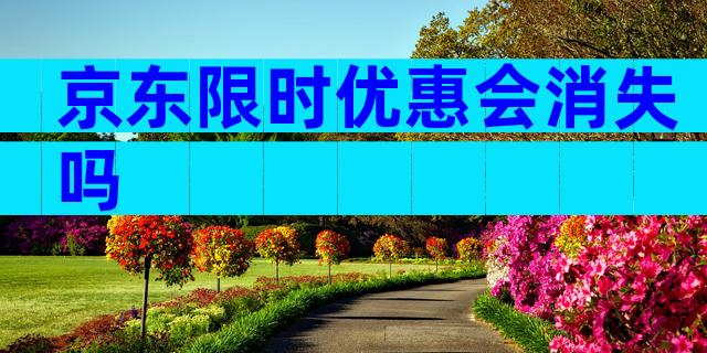 京东限时优惠会消失吗