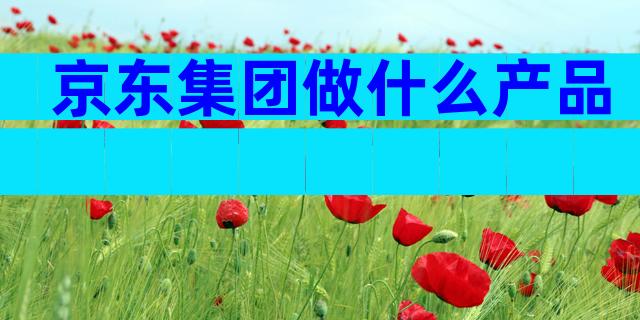京东集团做什么产品
