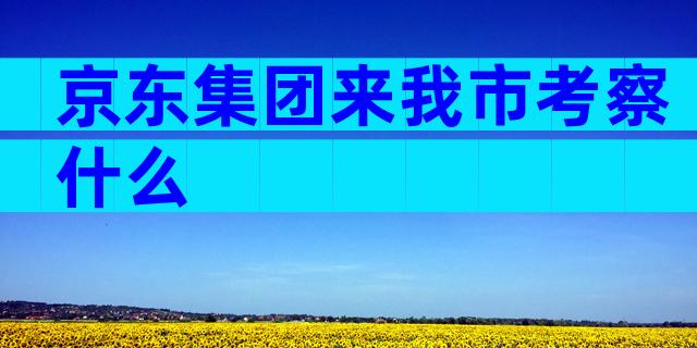 京东集团来我市考察什么