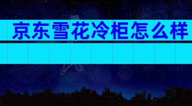 京东雪花冷柜怎么样