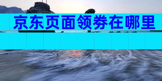京东页面领劵在哪里