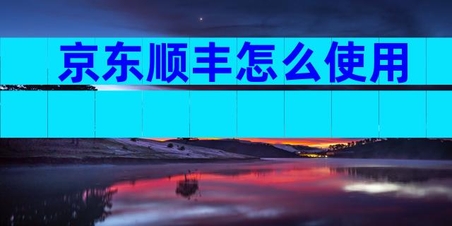 京东顺丰怎么使用