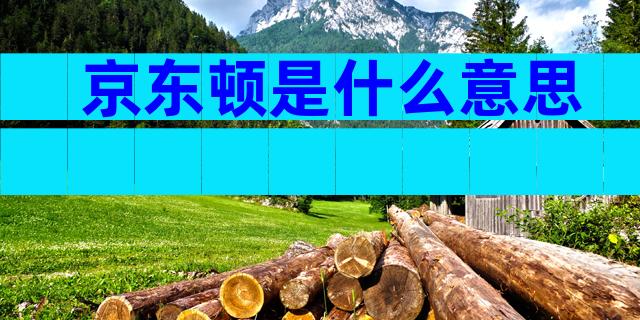 京东顿是什么意思