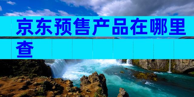 京东预售产品在哪里查