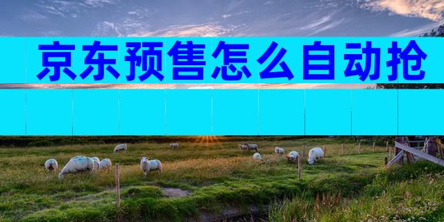 京东预售怎么自动抢