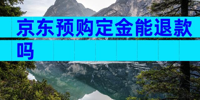 京东预购定金能退款吗