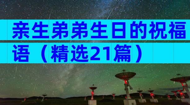亲生弟弟生日的祝福语（精选21篇）