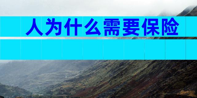 人为什么需要保险