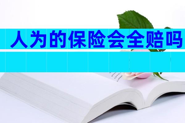 人为的保险会全赔吗