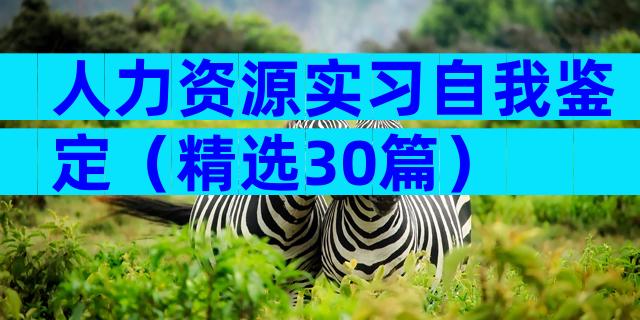 人力资源实习自我鉴定（精选30篇）