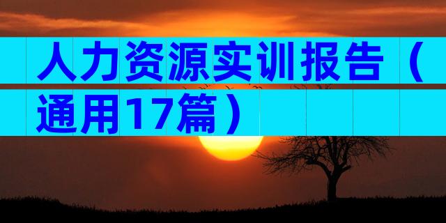 人力资源实训报告（通用17篇）