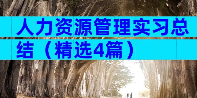 人力资源管理实习总结（精选4篇）