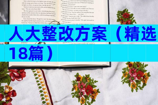 人大整改方案（精选18篇）