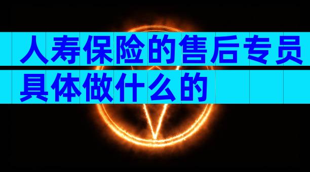 人寿保险的售后专员具体做什么的