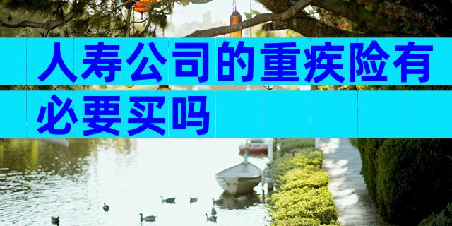 人寿公司的重疾险有必要买吗