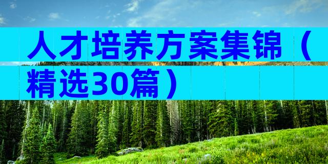人才培养方案集锦（精选30篇）