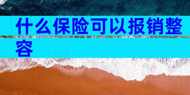 什么保险可以报销整容