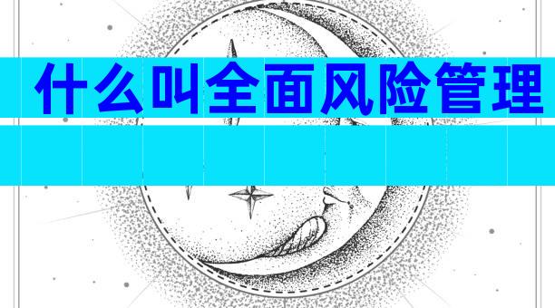 什么叫全面风险管理