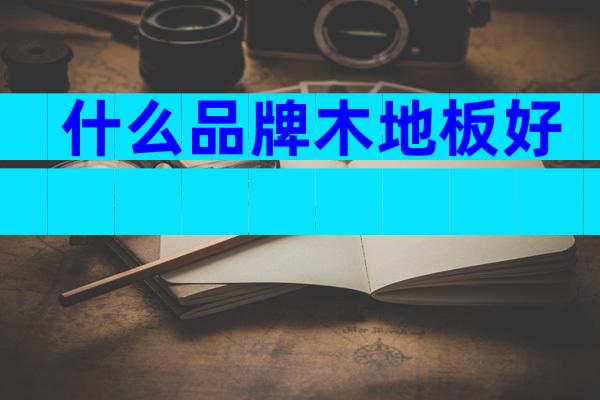 什么品牌木地板好