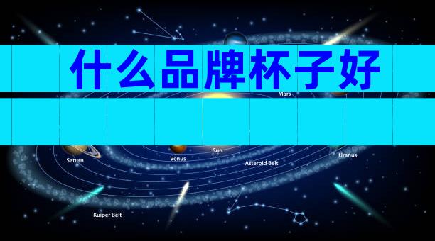 什么品牌杯子好