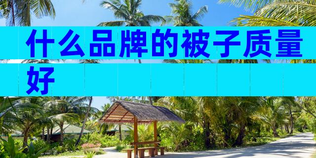 什么品牌的被子质量好