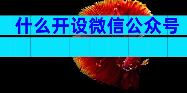 什么开设微信公众号