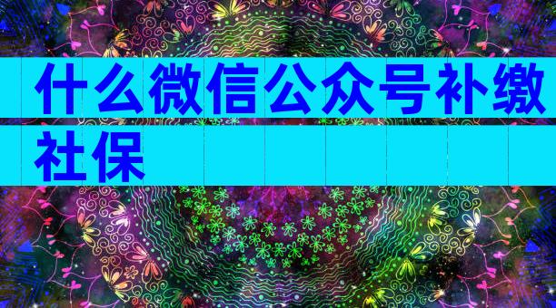 什么微信公众号补缴社保