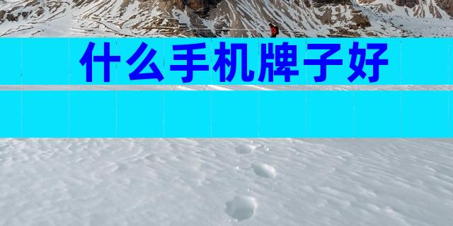 什么手机牌子好