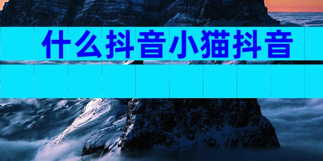 什么抖音小猫抖音