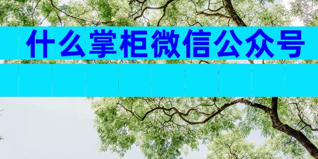 什么掌柜微信公众号