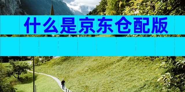 什么是京东仓配版