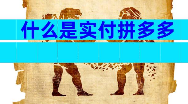 什么是实付拼多多