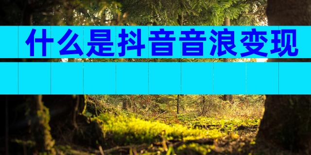 什么是抖音音浪变现
