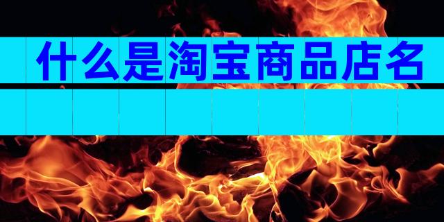 什么是淘宝商品店名