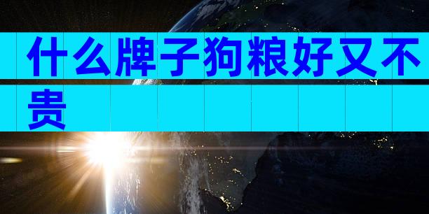 什么牌子狗粮好又不贵