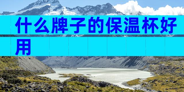 什么牌子的保温杯好用