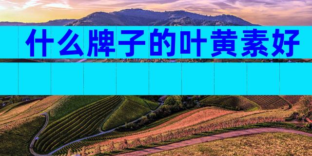 什么牌子的叶黄素好